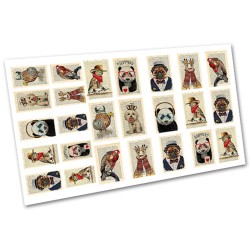 ***СЛАЙДЕР 1552 ___IVN(3611)